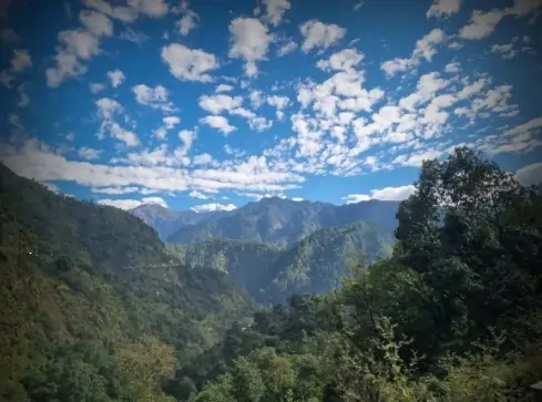 Galaxy S21 FE photos