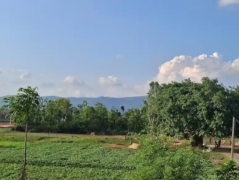 Galaxy M35 photo quality